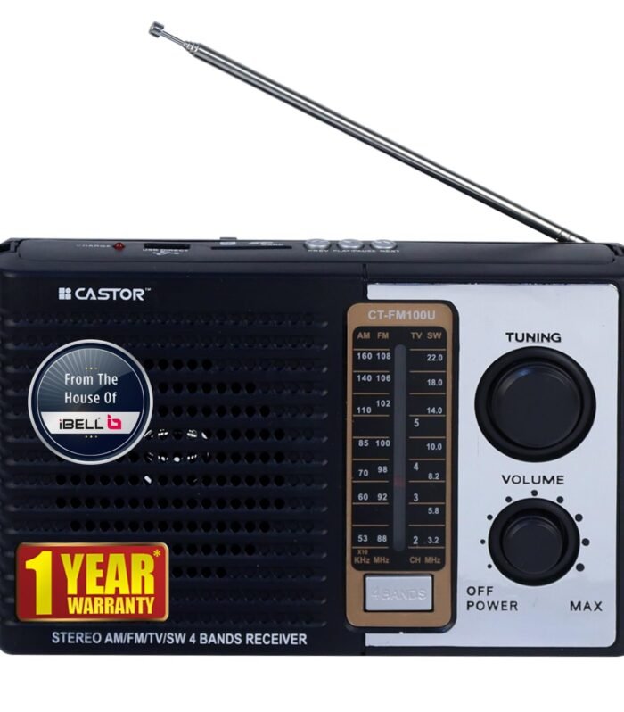 iBELL CTFM100U Portable FM Radio, with USB, SD Card, MP3 Player & Dynamic Speaker 4 Band (Black)