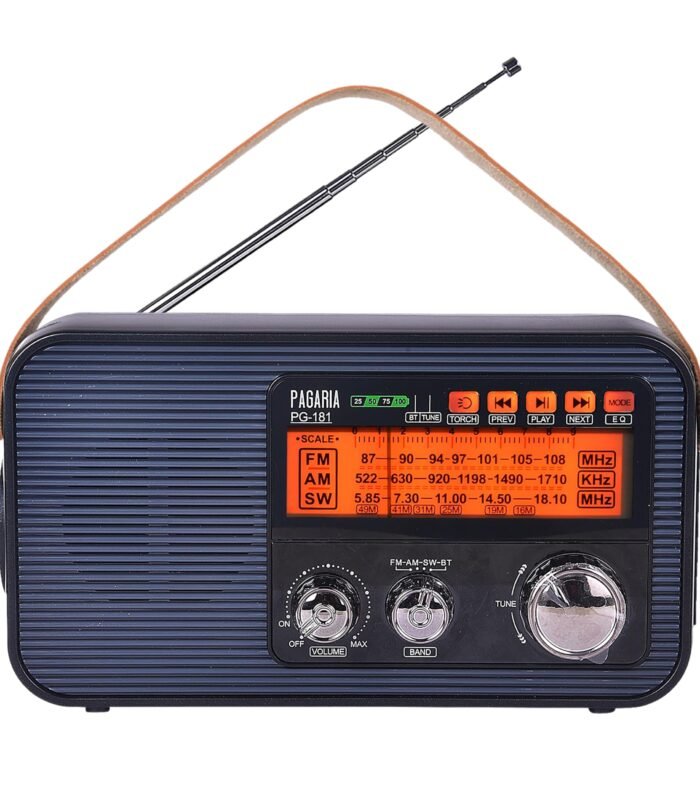3 Band FM/AM/SW DSP Portable Radio with 5 Watts, Torch, Bluetooth, USB/TF, Earphone, Aux, Model: PG-181